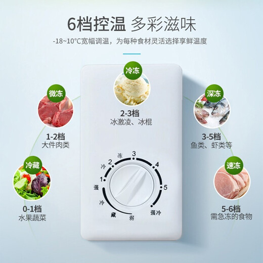 CHIGO small freezer household refrigeration small first-class energy-saving mini horizontal refrigerated fresh-keeping breast milk freezer first-class energy efficiency recommended by thousands of people 58L single temperature single door