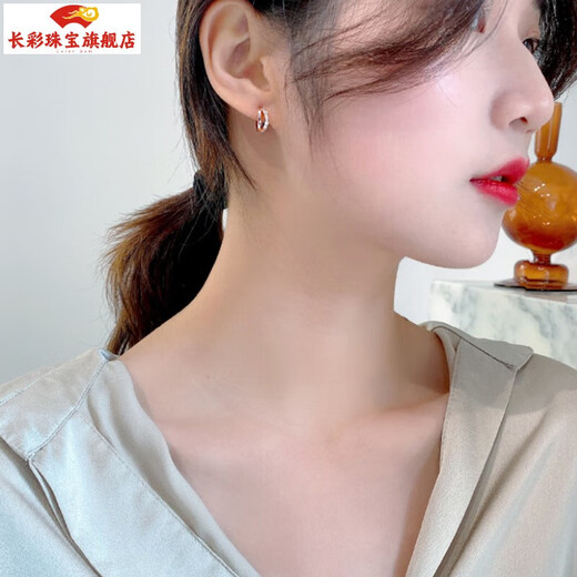 Changcai Earrings 2021 Trendy Color Gold Earrings Korean Simple Earrings Earrings Women's Silver-plated No-Pick Rose Gold Earrings Rose Gold Pair