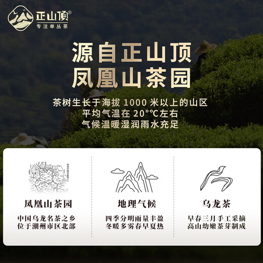 Thé Zhengshanding, Phoenix Dansong, Authentique Chaozhou Duck Shit Flavour Single Casenant Tea, Light Fire Oolong Tea Box, grande portion 500g (buvez une tasse par jour pendant 2 mois)