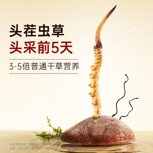 阿依舍冬虫夏草特大号断草虫草50克性价比高补品营养品送父母老人礼物