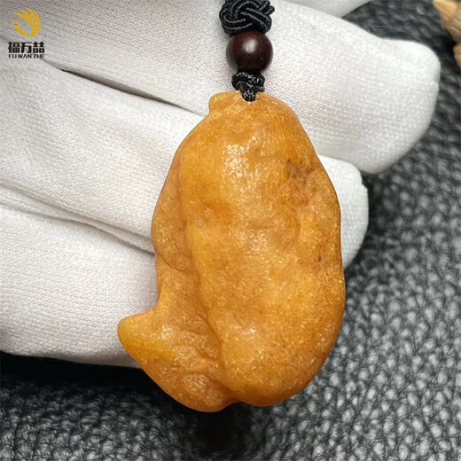 Fuwanzhe Natural Beeswax Raw Stone Pendant Baltic Sea Raw Mineral Amber Fish-shaped Sea Float Pendant 10.15g