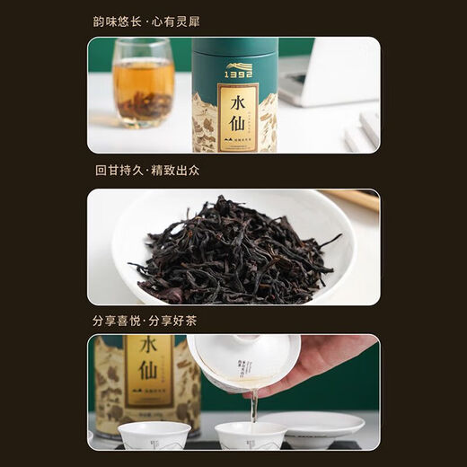 天池茶业1392单丛茶叶单枞茶乌岽高山乌龙七彩水仙 七彩·水仙 100g 特级