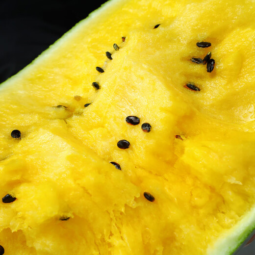 Shouhe watermelon seeds seedlings potted early maturing yellow heart gift melon fruit seeds Weifeng Xiaofeng watermelon seeds 15 pieces
