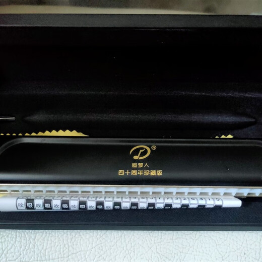Swan Dream Chaser German Imported Ring 24-hole Polyphonic C-tune Harmonic Adult Professional Performance Advanced Collector's Edition 24-hole C-tune Purple