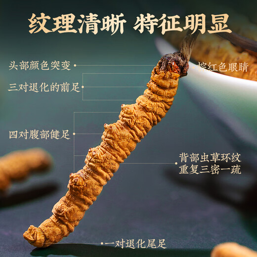 
Tongfu Cordyceps sinensis 2 roots/g 10g 20 roots gift box tonic nutritional supplements gifts for elders