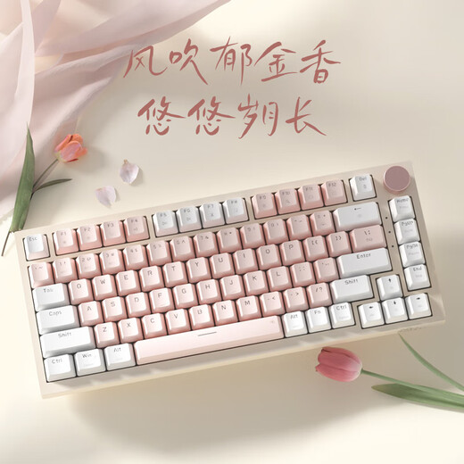 
This hand mechanical keyboard for girls pink wired keyboard wireless Bluetooth three-mode high-value Gasket soft elastic structure desktop laptop tablet game typing office keyboard tulip white powder (green axis-mixed light) wired version + Gasket structure