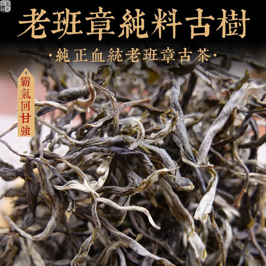 Mingguan Zhongpin 2021 Laobanzhang Pure Ancient Tree Loose Tea Yunnan Tea Loose Tea Ancient Tree Tea Loose Tea Pu'er Tea 500g