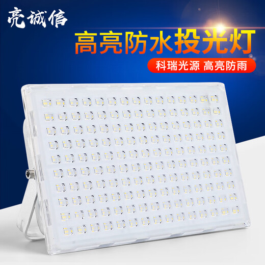 Soyada Ant led floodlight outdoor lighting strong light factory workshop construction site waterproof advertising sign spotlight flagship model-100W-white light