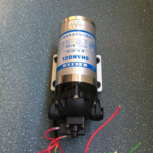 久聚和定制上海微型高压隔膜泵DP-60 12V~24V~220V喷雾泵增压泵 DP3524V带压力开关