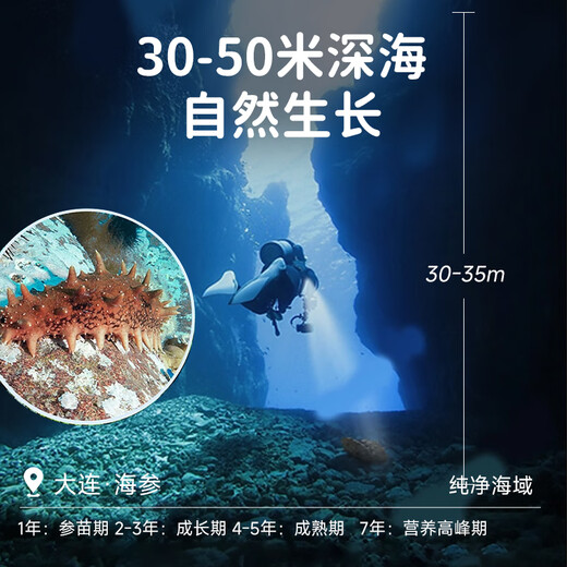 Fresh out of Dalian ready-to-eat sea cucumbers, sea cucumbers, sea cucumbers, sea cucumbers, sea cucumbers, dried goods 7-13 heads, net weight 500g