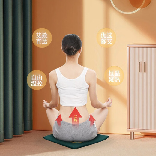 Moxa cushion heating artifact, electric heating moxa mat, office home fart cushion, moxibustion cushion, timed temperature control (blue)