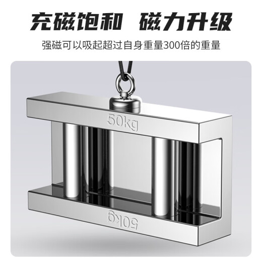 得印(befon)DY60强磁打捞神器强磁铁超强力磁铁吸铁石大号超强磁王固定器圆形直径60mm拉力0-220斤1392