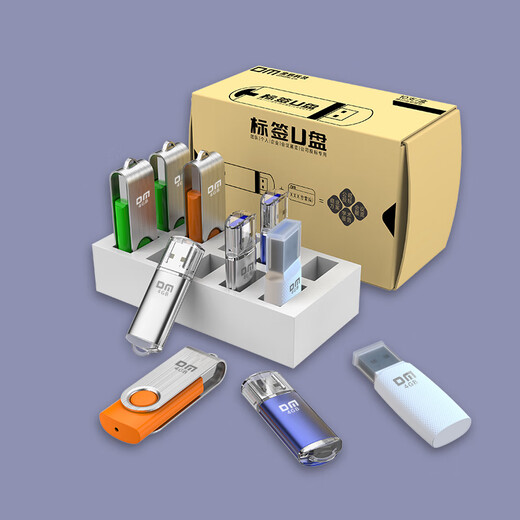 DM大迈 4GB USB2.0 U盘 投标u盘PD120 招标小容量电脑标签优盘 10个/盒