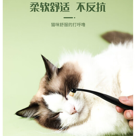 Haiduo pet tear stain brush eye decontamination cleaning brush with bristle brush for cats and dogs Bichon Pomeranian tear stain cleaning tear stain brush