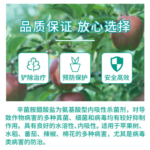 国光秀功1.2%辛菌胺醋酸盐腐烂病流胶病果锈病枝苗木病害农药杀菌剂1L