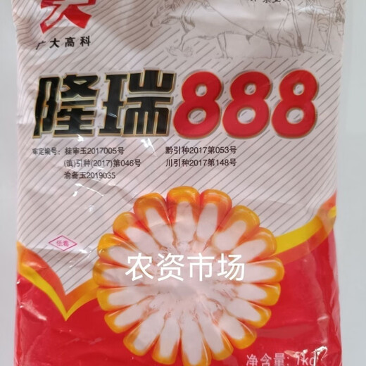 Qiule 368 corn seed wholesale lodging resistant, drought resistant and disease resistant red shaft big stick Damaya National Approval 4200 grains Tongyu 609/1kg