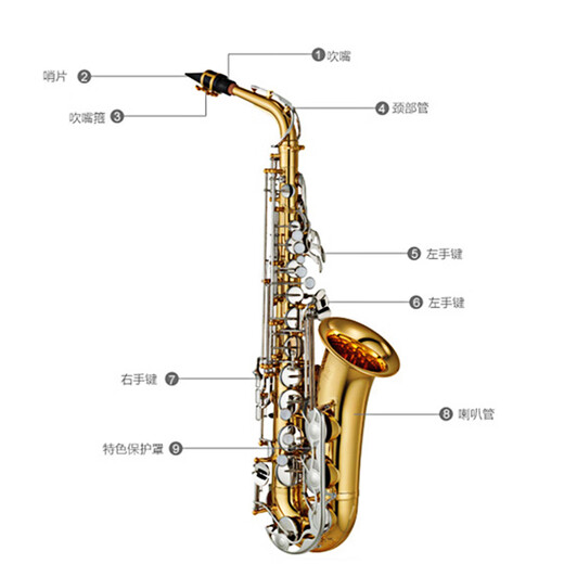 Yamaha (Yamaha) Saxophon Yas-26 E-niedriger Altoxophon Kinder Erwachsener Anfänger Prüfung Professionelle Leistung