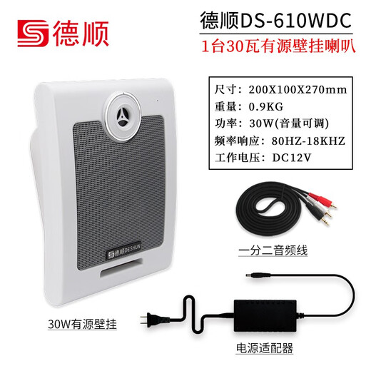 德顺（DESHUN） 610WDC有源壁挂式音箱内置功放30W教室音响监控喇叭音响 有源壁挂音箱+连接线+电源