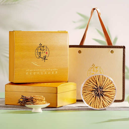 2 Cordyceps sinensis raíces/g 20g 40 a gran altitud Cordyceps grandes especificaciones Cordyceps King Nutritive Gift Box