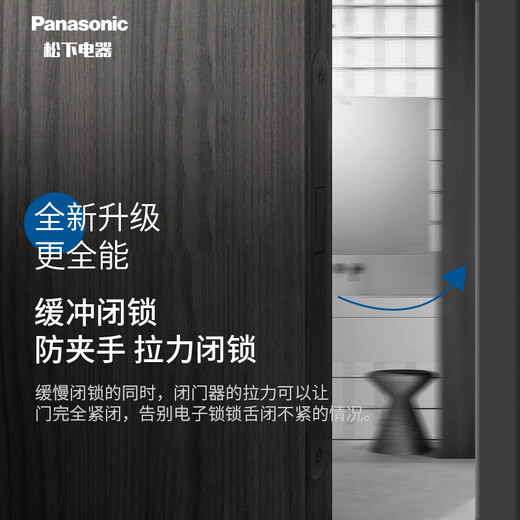Panasonic 松下闭门器液压缓冲定位家用自动关门器门弹簧防火门闭合缓冲器 TM1050F大号定位
