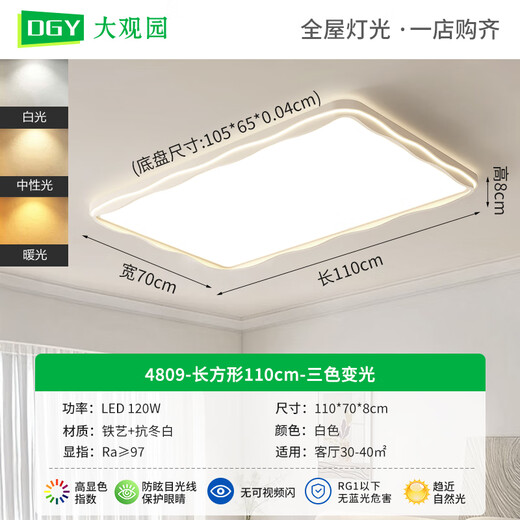 Grand View Garden Living Room Lights Modern Simple Cream Style Salon Principales lumières Minimalistes Protection des yeux Ministan Plafes de chambre