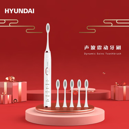 HYUNDAI-Electric toothbrush for adults, men and women, couple model, rechargeable electric toothbrush X700 (with 6 brush heads)