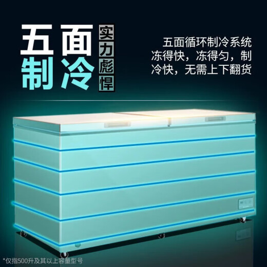 美菱（MeiLing）冰柜商用大容量全冷冻-40℃超低温保鲜柜卧式冰柜雪糕柜超市酒店商场冷藏保鲜柜 【性价比优选】电控版 738L