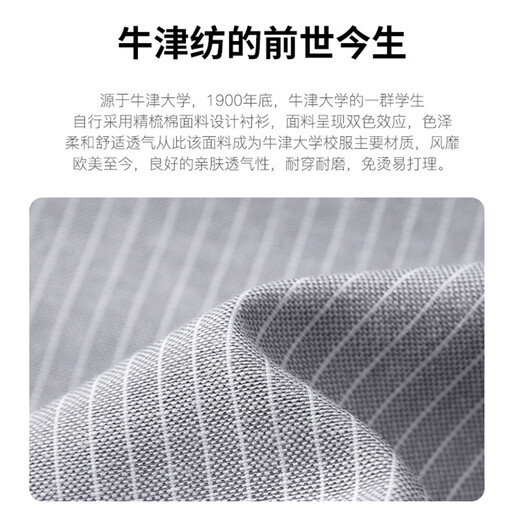 ROMON Oxford shirt men's anti-wrinkle easy-care long-sleeved casual striped shirt jacket men's gray 4XL