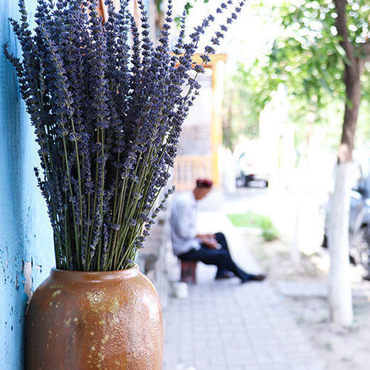 AIMAN dried lavender bouquet living room home decoration natural dried bouquet real flower aromatherapy internet celebrity flower arrangement ins gift 250g space blue half Jin Jin equals 0.5kg dark blue new summer flowers all in English newspaper packaging