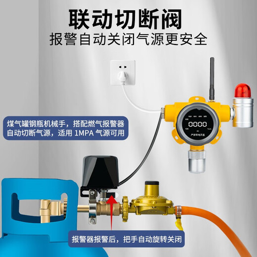 立可安 立可安科技燃气报警器餐饮商用煤气罐液化气丙烷工业可燃气体检测仪报警器 719小型餐饮专用款+钢瓶机械手