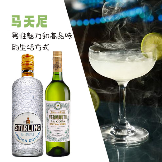 麦其克调酒基酒套装 鸡尾酒基酒 威士忌龙舌兰白兰地伏特加朗姆原瓶进口 马天尼鸡尾酒套装 700mL 2瓶