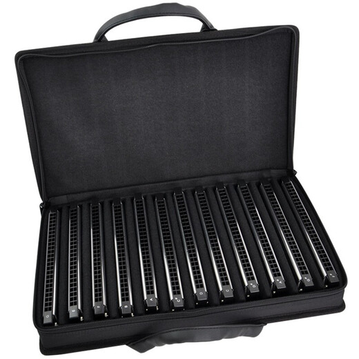 TOMBO Tongbao 6624S harmonica 24-hole advanced performance polyphonic harmonica thickened copper seat plate beginner 24-hole 6624S-12 set