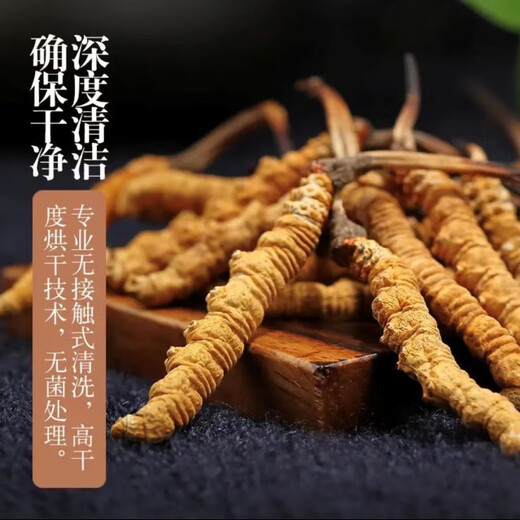 Пекин Тонгрентанг [Черная пятница] Cordyceps Sinensis Fresh Cordyceps сухожие товары Cordyceps Аутентичный фестиваль чистого мяса 31 штуки для 3 пакетов