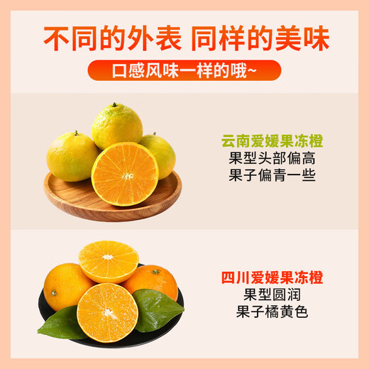 Jingxiansheng Ehime Jelly Orange 10Jin Jin equals 0.5kg, single fruit starting from 180g, fresh fruit gift box