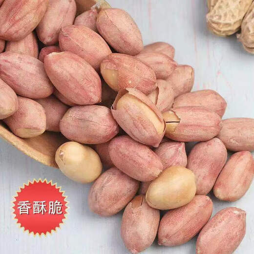 Guanyu Obst Fünf-Gewürz-Erdnüsse Anhui Wuwei Spezialität Yanqiao Nüsse und Snacks in Taschen Wein und Gemüse 105 g*10 Gesamt 1050g