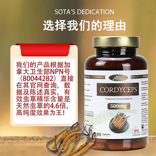 SOTA'S DEDICATION冬虫夏草胶囊90粒加拿大进口术后恢复增强免疫力滋补肺肾营养品