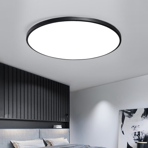 Yongzhi Lámpara de techo LED redonda atmosférica dormitorio habitación balcón pasillo pasillo baño Guangdong Zhongshan Guzhen lámpara 23 CM lámpara blanca tri-prueba luz blanca