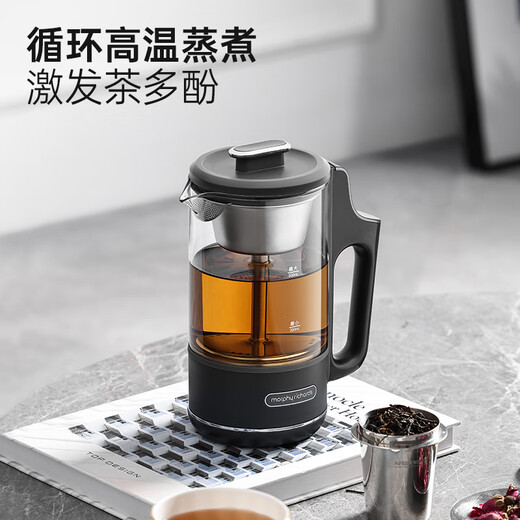 Morphyrichards National Subsidy Health Kettle Portable Mini Tea Maker Kettle Hot Water Kettle Small Office Household Multifunctional Spray Steam Tea Kettle MR6082 Gray