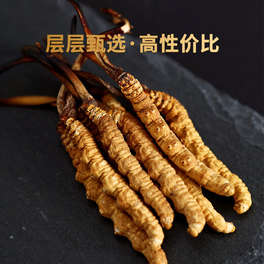 
QOMO Tibet Nagqu Cordyceps sinensis High-altitude Dried Cordyceps Wild Cordyceps Natural Growth Nagqu Cordyceps Gift Box Gift Box Gift Box Gift Box 3-4 Rods/g 10g (35-40 Rods)