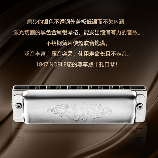 Seydel importé d'Allemagne Seydel 10 trous 10 blues blues metal harmonica 1847 noble débutant adulte 10 trous b