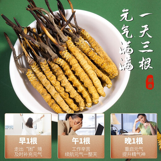 
Shengdikangzang [Festive Gift] Wild Cordyceps sinensis in Nagqu Nagqu Nagqu High-altitude Cordyceps Selected Gift Box 3 pieces/gram 20 grams