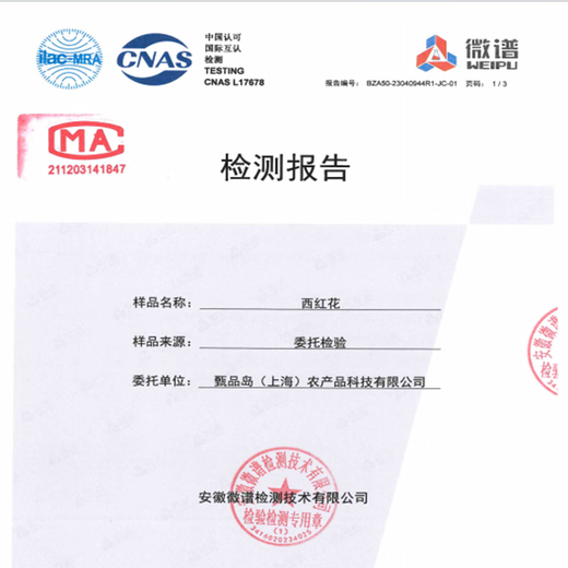甄品岛 ZHENPDO【买花送种球】上海崇明特产藏红花 藏红花正品 特级藏红花西红花 大众级10克