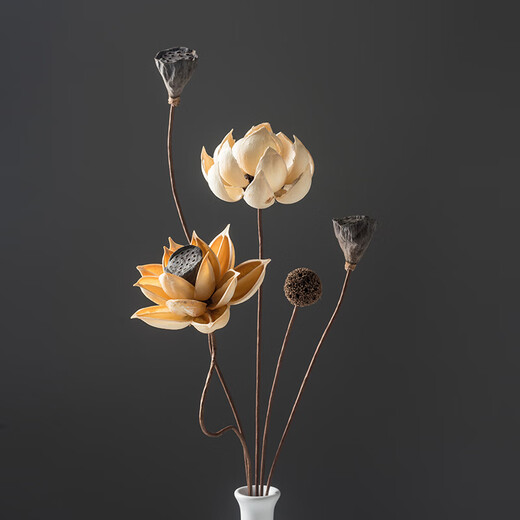 Stern Adventure Trocken Blumenstrauß echte Blumendekoration Ornament Lotus luftgetrockneter Lotus Pod Natural Lotus Wurzel Zen Blume Arrangement Chinesische Wohnzimmer Dekoration getrocknete Blume Kombination 5012 getrockneter Blütenbeutel