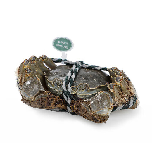 Male Crab Fresh Yellow River Estuary Hairy Crab 2.3-2.7 taels/piece