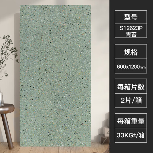 远晶瓷砖600x1200法式风彩色水磨石商业客厅地砖厨房卫生间墙砖广东 S12623P青苔 600x1200mm