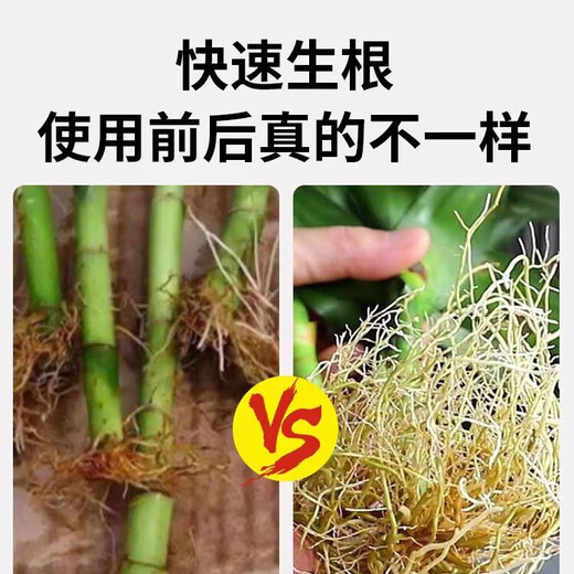 50% indolebutyric acid, indolenaphthalene acetic acid, high concentration rooting agent, rooting powder, seedling transplanting, cuttings, rooting promotion, 3 bags (1g/bag) can be stored for 2 years without opening