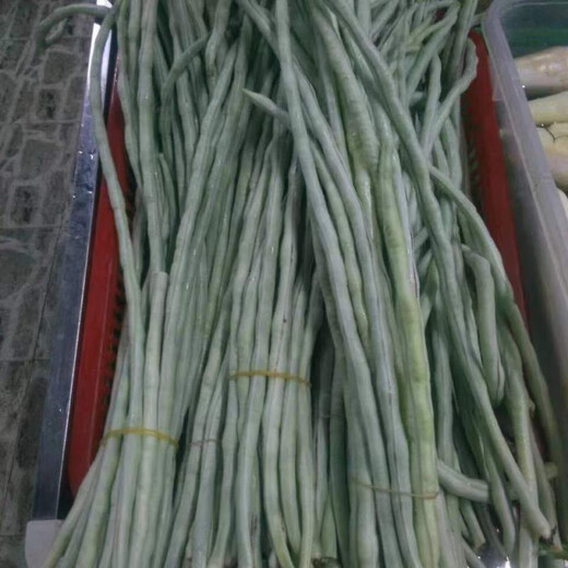 Super delicious big flesh glutinous rice sweet bean seeds white long beans sown in spring, summer and autumn white jade long cowpeas easy to grow vegetable poultry big flesh glutinous rice sweet beans seeds original quality 2 packs + fertilizer