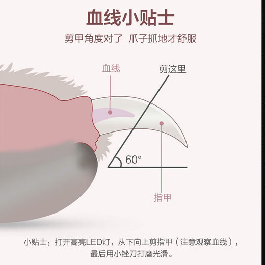 Mioo cat nail scissors, pet nail clippers, nail clippers, universal rabbit nail clipper for dogs and cats, LED pink, illuminates blood line, will not cut