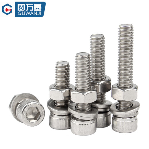 Guwanji 304 stainless steel hexagon socket screws and nuts set complete bolt screw gasket combination large national standard accessories M2*22 (100 sets)