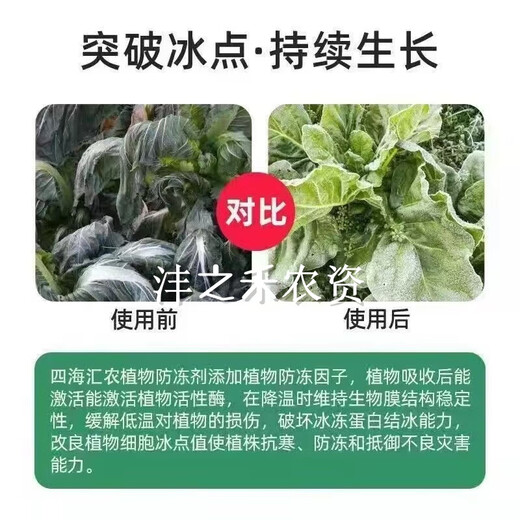 Imported plant antifreeze liquid antifreeze plant antifreeze melons, fruits and vegetable seedlings antifreeze safe winter antifreeze no frost damage antifreeze 500g* bottle cold resistance + fertilizer supplement to increase production